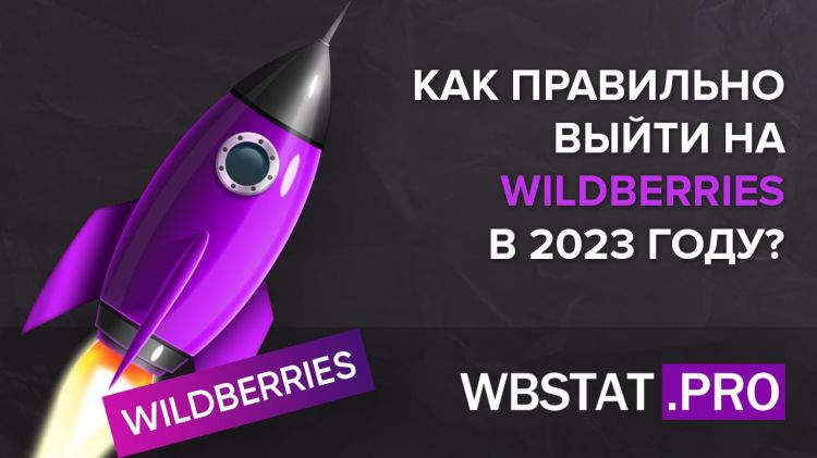 Как правильно выйти на Wildberries в 2024 году с нуля? Пошаговая инструкция, как стать миллионером