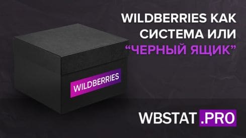 WildBerries как система или «Черный ящик»