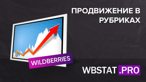 Как пользователи ищут товары на WildBerries