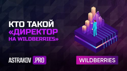 Кто такой «Директор на WILDBERRIES»